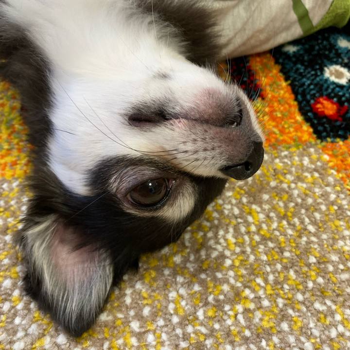 9ddaebd7 1f44 46e5 9347 92d291d7afaf 1683214012840