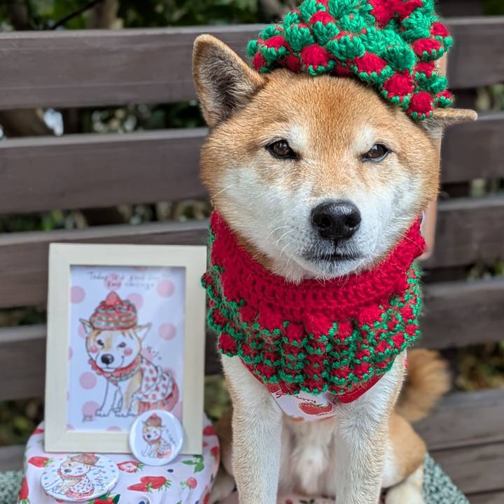 9ddafc13 84da 448c 8aa8 91a0e2a0361b 1737466380637