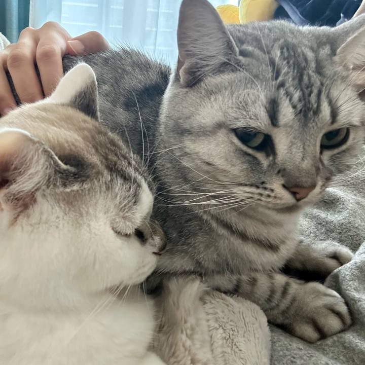 9ddb1303 4c5a 4146 b90e 8e694cd899c7 1701304825803