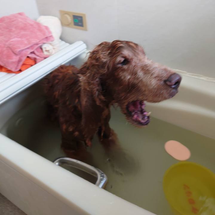 9ddb1ed6 ae82 4311 90e5 8b3d360c5d11 1721188204179