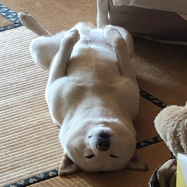 9ddb208c 39ae 4bbe 995a 4210fdcab962 1619326548576