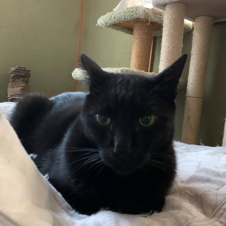 9ddb6997 f192 4515 823e f126e85b4a5a 1573780504454