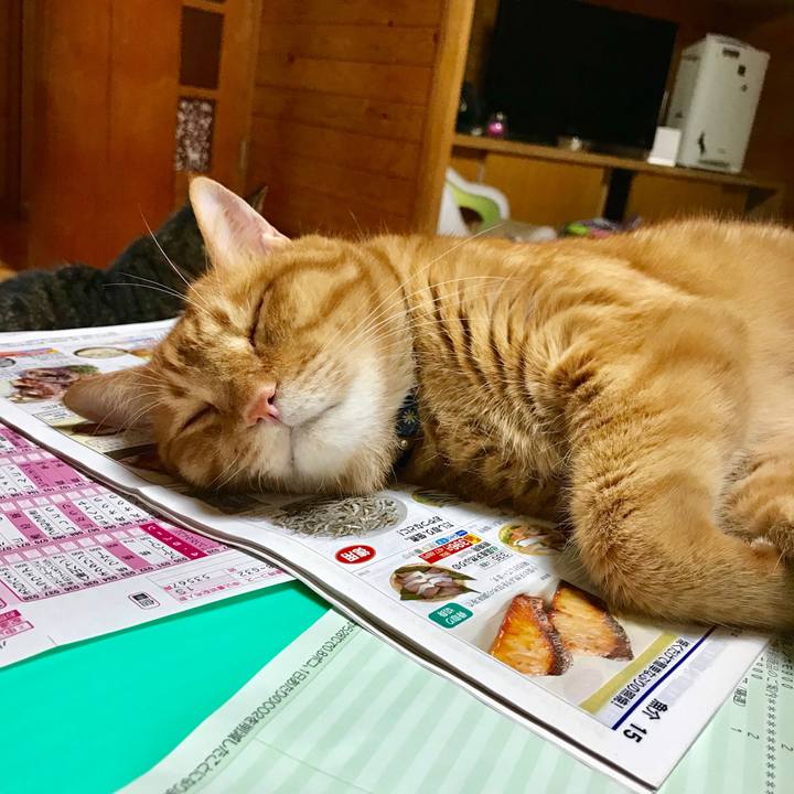 9ddb6e0e 8586 452e 9769 689fc6b12b1b 1533039964404