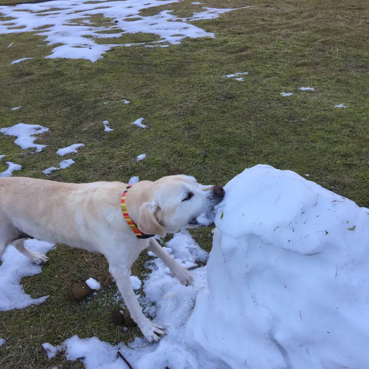 9ddb7cdf bc52 4b5f 9d8f f6768529a695 1514072963254