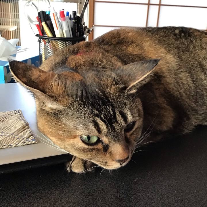 9ddb8c6e 8b0a 4bbf abd7 e8860b347ae3 1707693654539