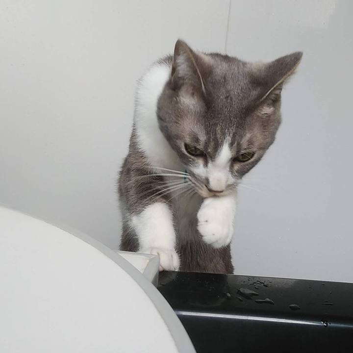 9ddc11c8 bee3 4fc9 99ff 14e4c0e39745 1618476019929