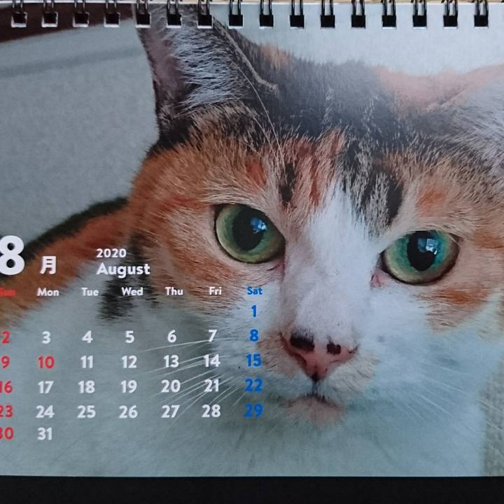 9ddc4996 076c 4029 a65c 26e6bf0100c1 1596672222032