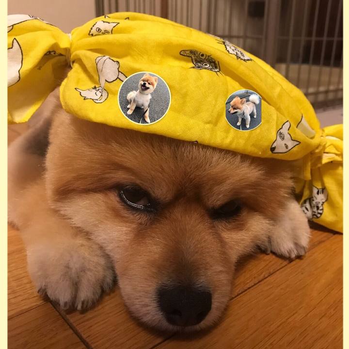 9ddc773c 35af 4ac1 b220 a833bc6ea61a 1513116210998