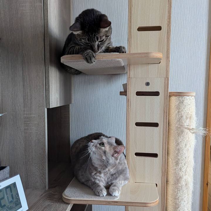 9ddcb311 9f32 4c11 b169 1f7ea95d537e 1725003031395