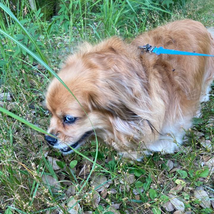 9ddcd7ac 6b01 4e1c 8778 3ec963840341 1656624321677