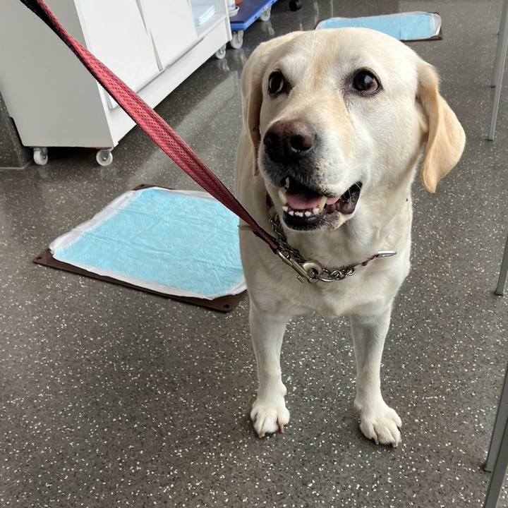 9ddd016f 8870 4d08 ac1f e10f9642e9d5 1714399254929