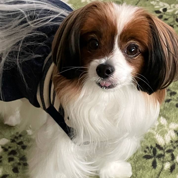 9ddda19b 5cc6 492a b061 41093a04c054 1736402695888