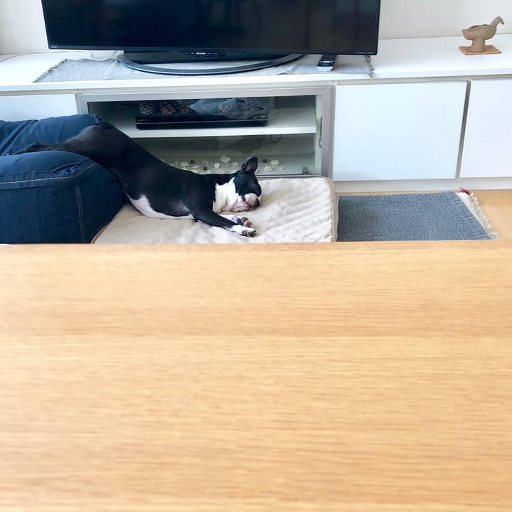 9dddd524 344e 4443 a044 44ce4736ebc6 1567559904928