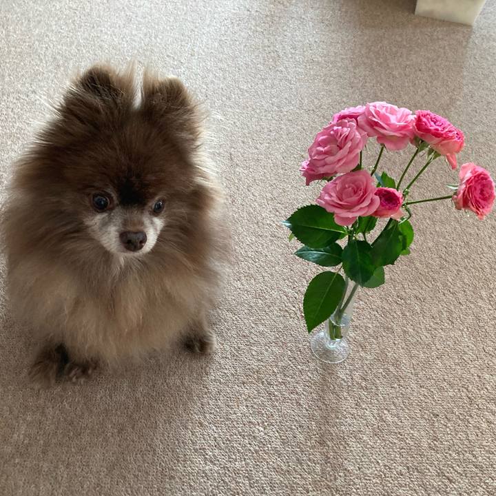 9ddddb17 e99b 4eaa b38e c24bc0ff73c0 1703378581709