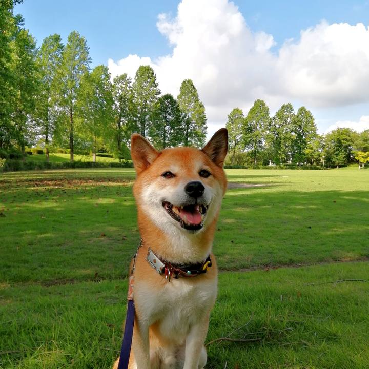 9ddddd64 75e7 4a8a b2ed a2bee5b2f4b9 1692232541702