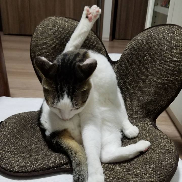 9dddec87 cd4a 4178 a0cf d35a79aa148c 1558176093545