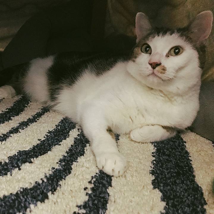 9dddf69d af36 4e2b af09 c039aa83fe13 1516533531809