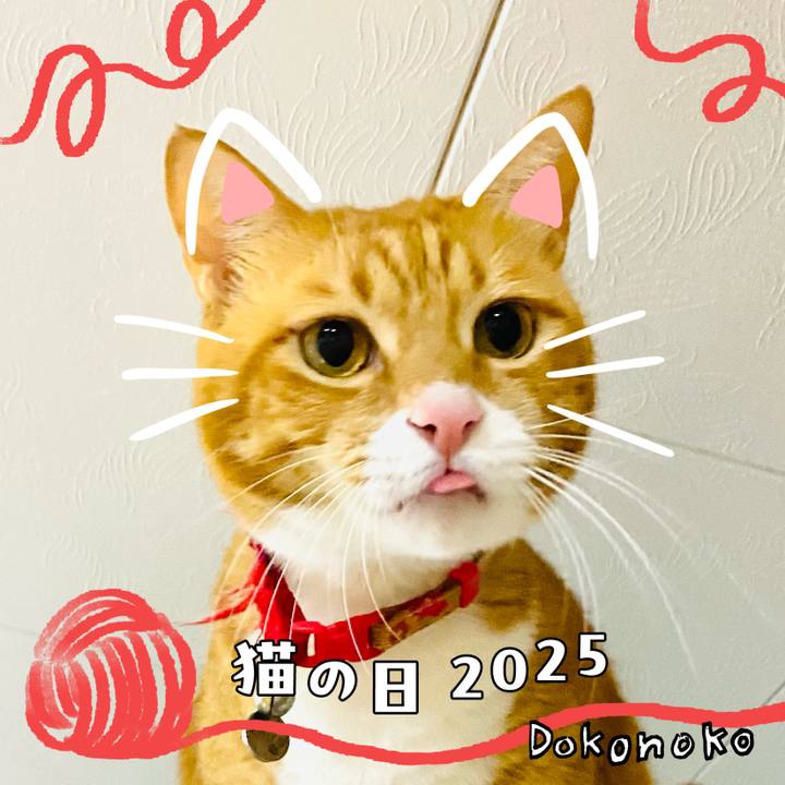 9dde06fc 0db7 4ac2 a011 b4cdaadd9ee0 1740185015562