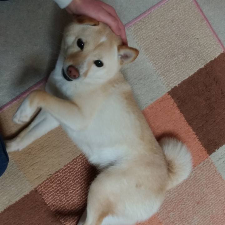 9dde3fbe d8d1 4ca8 806d 3d79d7544c77 1551693010742