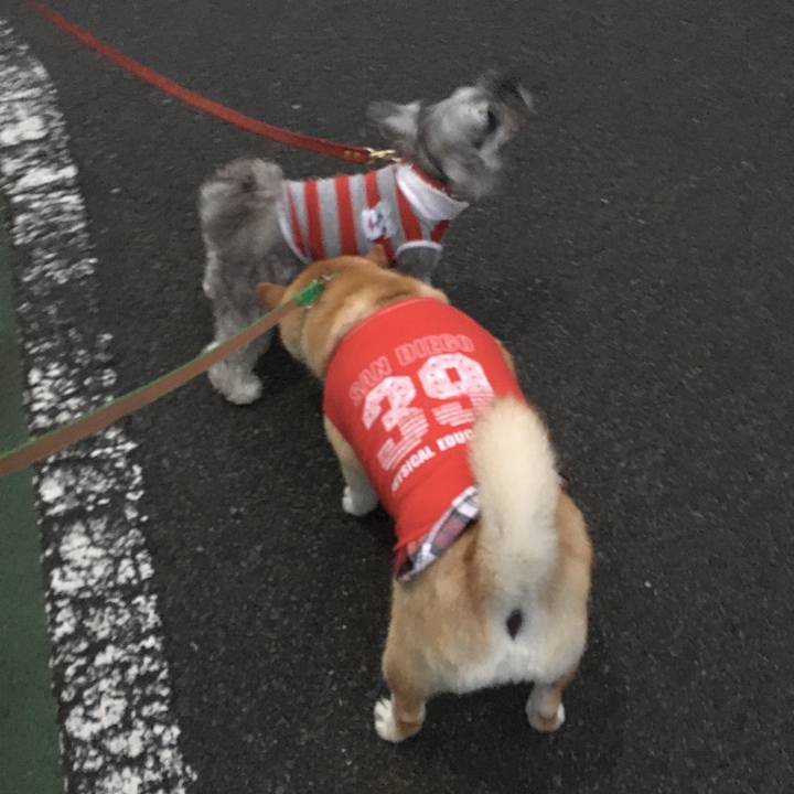 9dde57af 4c7c 45f8 b3da b756207cea08 1602406624040