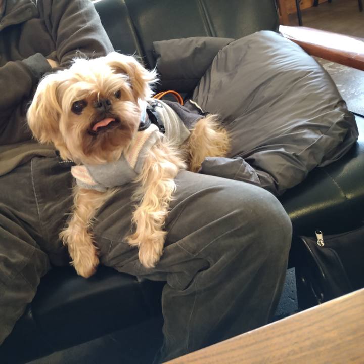 9dde5f00 f8cc 4e6d a355 e45cf671e409 1610780713692