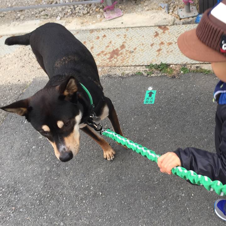 9dde63e6 20e8 466c acd1 a62f0a12140d 1514811514012