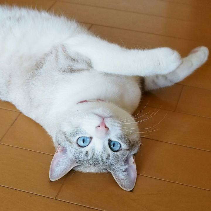 9dde9c41 6461 41a1 bc27 d98ef4a9b769 1532491307765