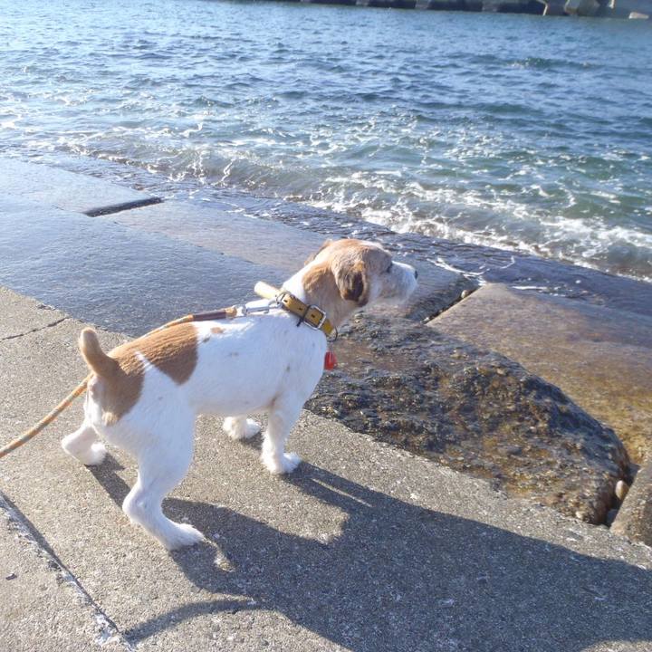 9ddea1a4 169a 4ff0 ac9f 043c5e888d0f 1511257443668