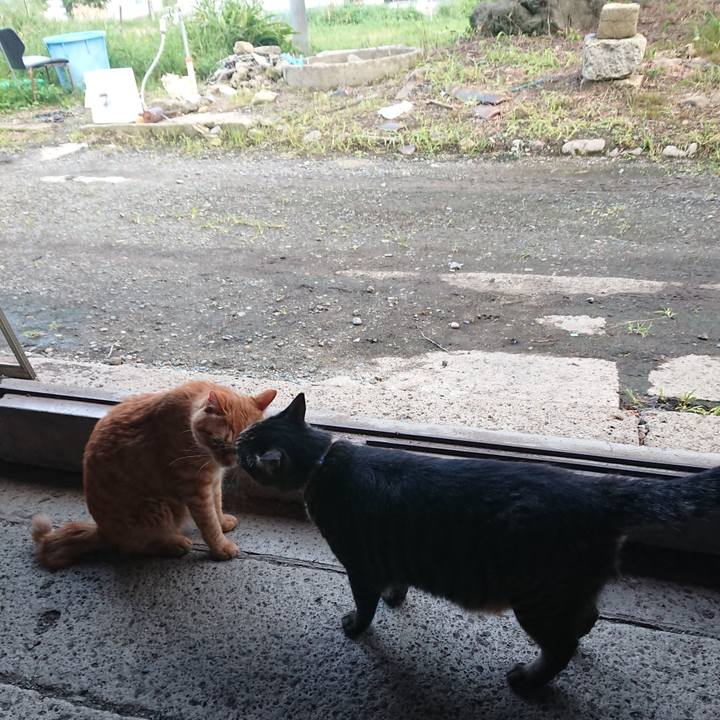 9ddeae33 9783 4bc3 878a 6b962cf49f5f 1661939943707