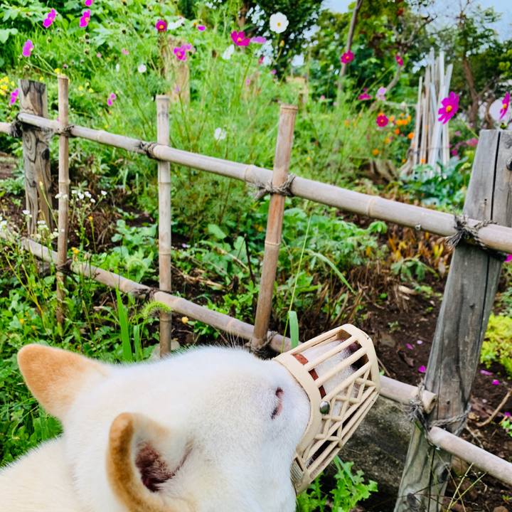 9ddebafa 5d43 4823 a18f dd68cac0a8bb 1567114052371