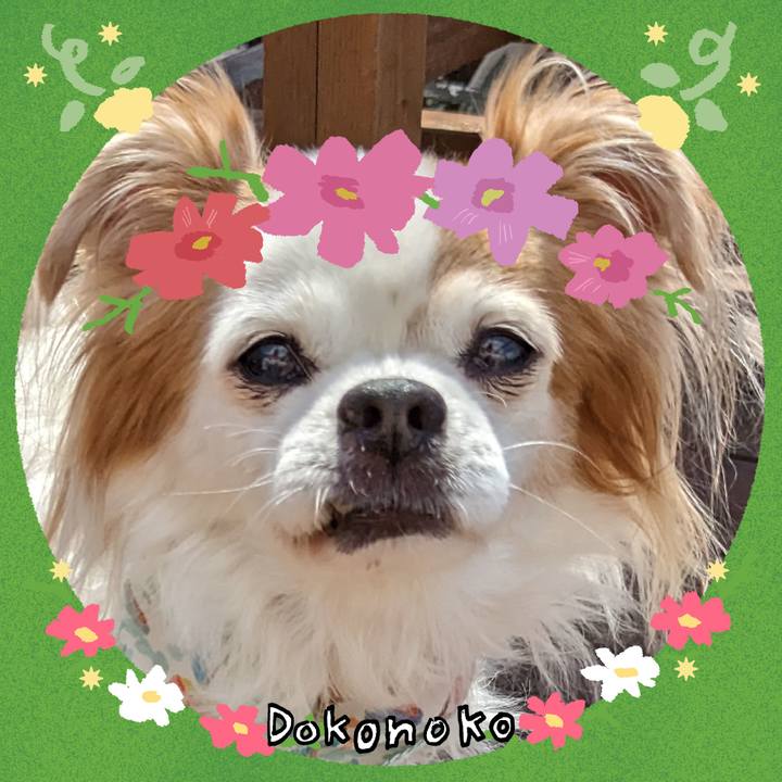 9ddebcd2 a40a 4685 b81d c17a2497ed09 1726964043372