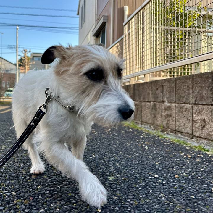 9ddf210a 552a 4774 a29b c5e8e7bae282 1742594992899