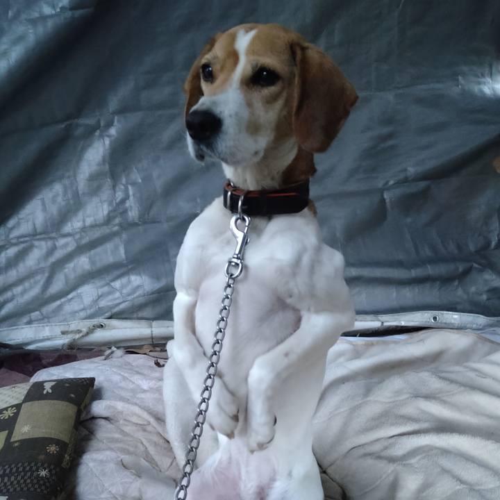 9ddf3e1e e216 480d 8d2d 41af68b0a29a 1643204680338