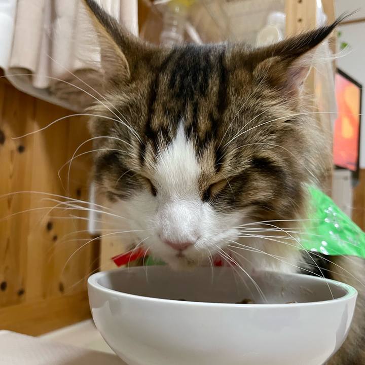 9ddf43c4 e708 4512 b3b9 7d24bc91e7e5 1640422257136