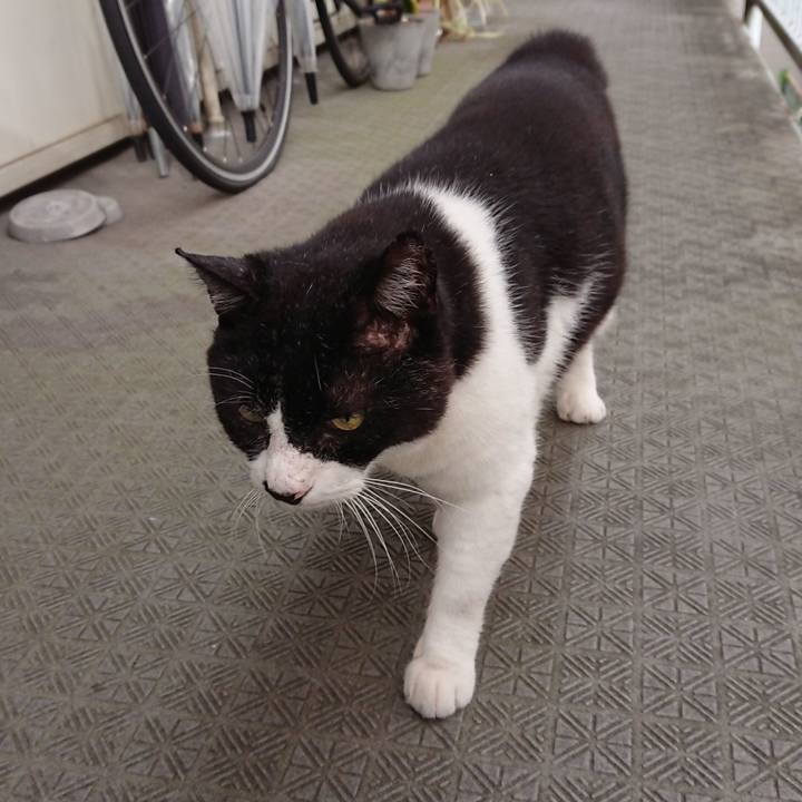 9ddf7335 d814 44ad 86a9 b871850aba4f 1658185898332