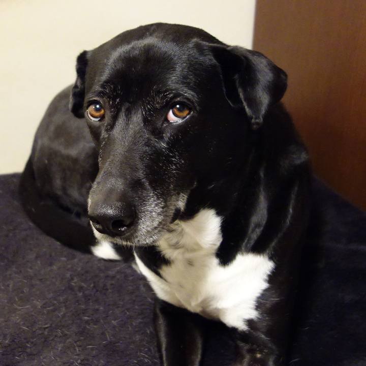 9ddf799a b23a 41ba a95a 1bbdf389c595 1711537868818