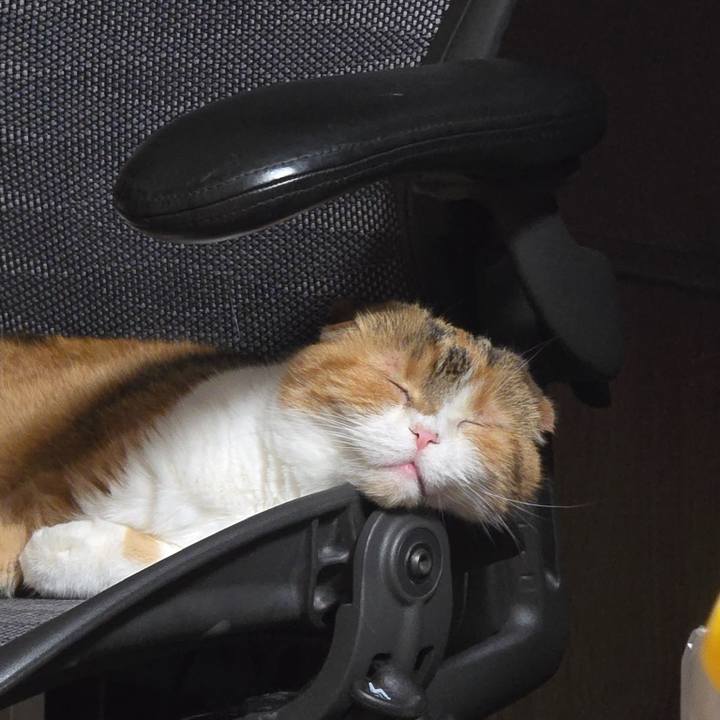 9ddf93fe 8a84 459a 8095 63db24003080 1716459730078