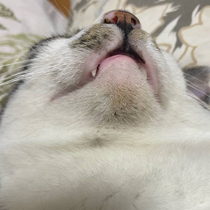 9ddfdd1e 4386 45aa a8d3 849df7265ea1 1690622287924