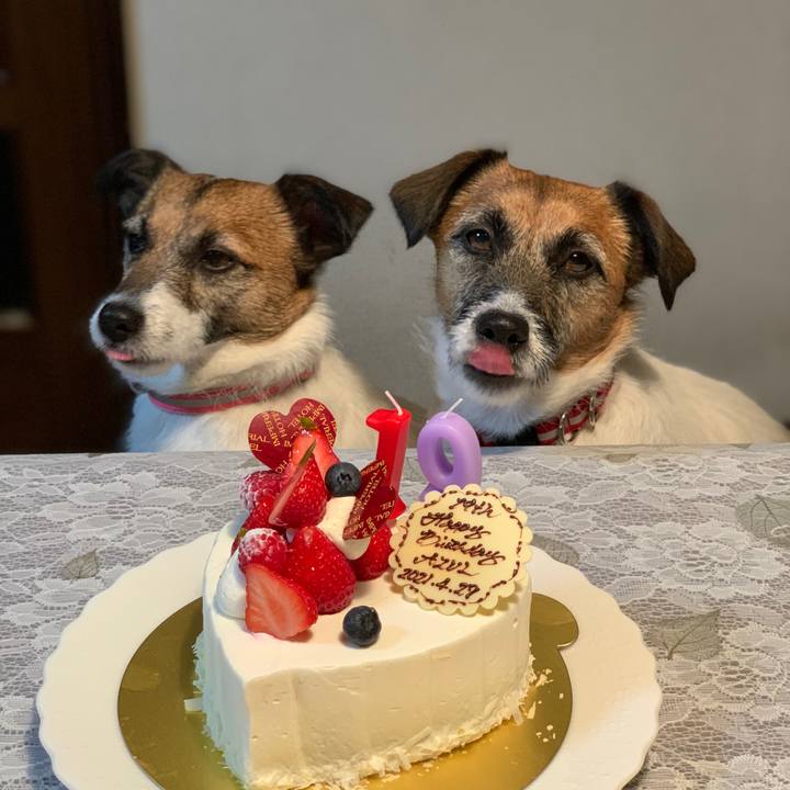 9ddfde13 ad29 46e9 9239 adddec2455b2 1619526382570