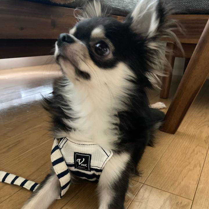 9ddfe3ff aa2c 4294 b3fe 9b1ca08e37f7 1604231068383