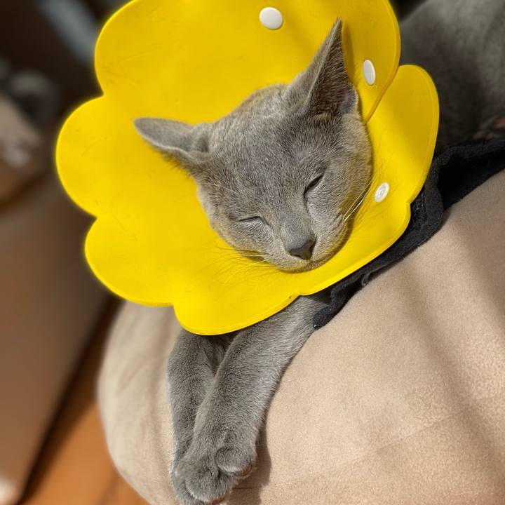 9ddff60a b93e 486b b731 aa255f98c19a 1613015763446