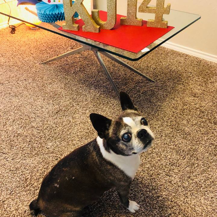 9de01aaf 0bdf 409a 98a7 6027fd5515f9 1594821687042