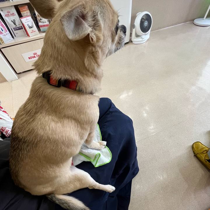 9de02ee7 c375 448b a11a 0f56ef36d0f6 1657943726325