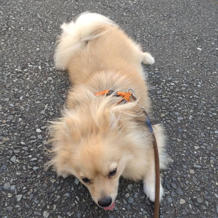 9de04e65 8651 4f51 963d 7420cd9ab229 1756165528076