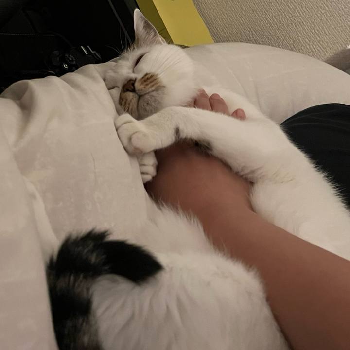 9de07060 9c47 4e8b a4c9 ca705da9d05c 1699534183181