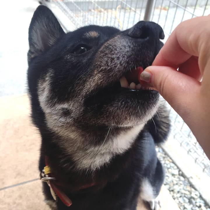 9de074a0 b273 4ecf 87be cd198d5bd8d9 1527646638023