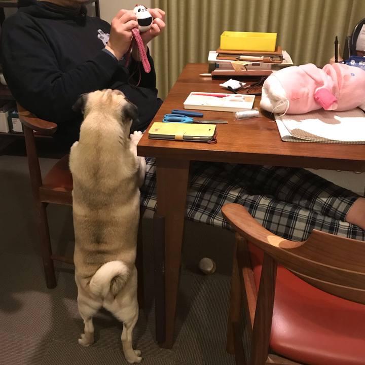 9de08773 8c68 440d a5e3 88efc0238f5d 1550276638320