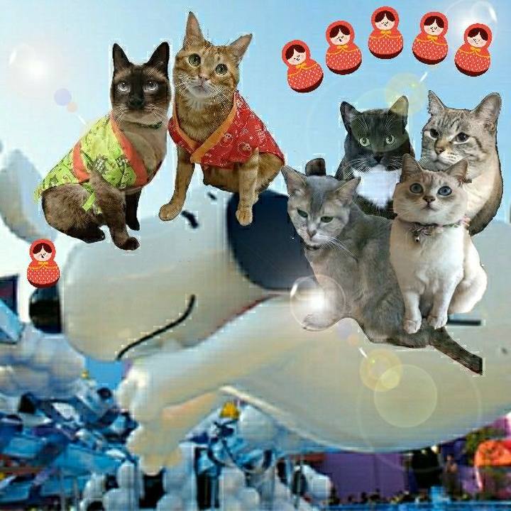 9de135db df7f 4974 b32c 68e11a78bd00 1529203375681