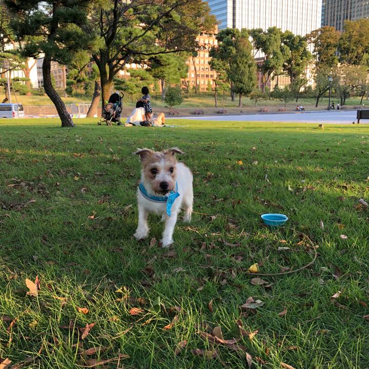 9de14855 73d8 4ba5 9395 6112b0adc493 1538910846978