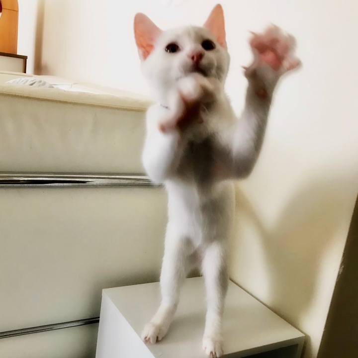 9de14fc8 1f1a 4b9f bbb0 c4ad00eff7cf 1569683103240